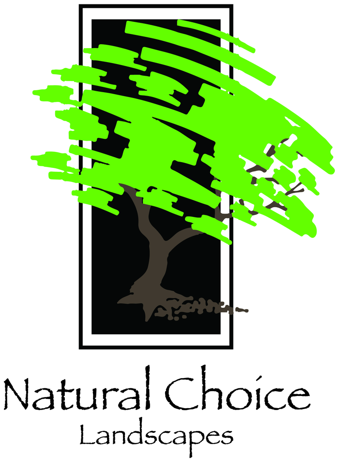 The Natural Choice Landscapes logo: a brush painted tree in a tall black frame