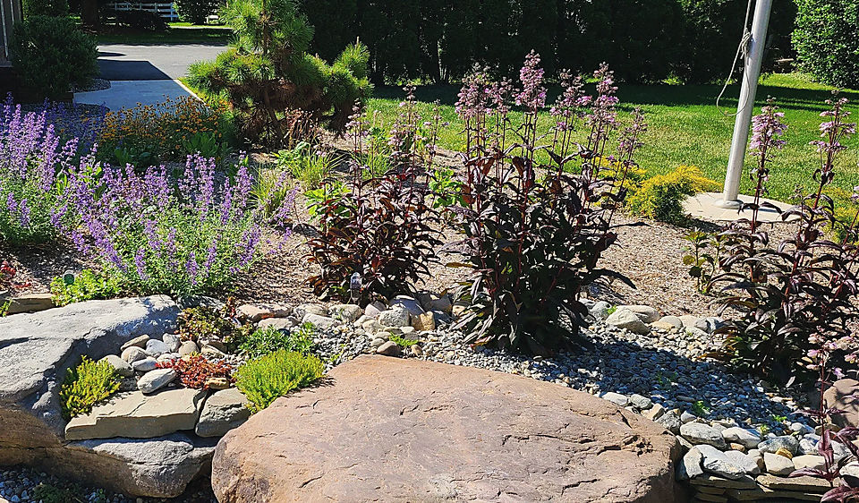 Boulders set among flowering perennials