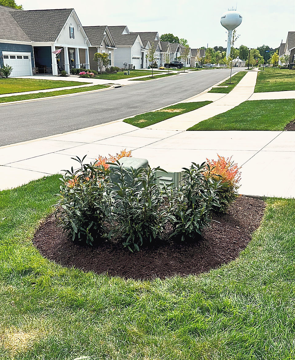 A mulched island bed at a neighborhood entrance