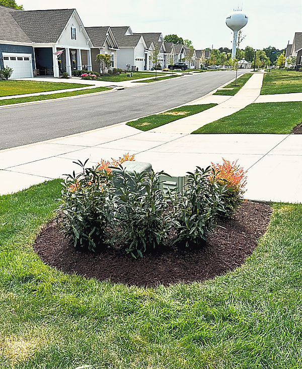 An island bed at a neighborhood entrance